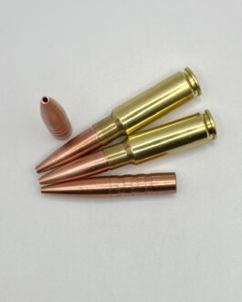 8.6 Blackout 313gr SCHP Subsonic
